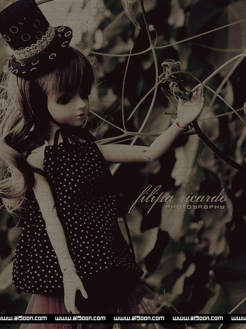     2013 13-5.gif